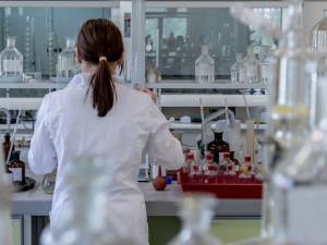 Laboratoř veterinářů v Jihlavě dnes začne dělat testy na koronavirus