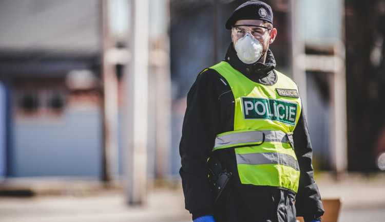 Kynice v karanténě kvůli koronaviru hygienici otevírají k 1. dubnu