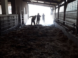 V kravíně zemědělského družstva hořela sláma. Byl vyhlášen druhý stupeň požárního poplachu