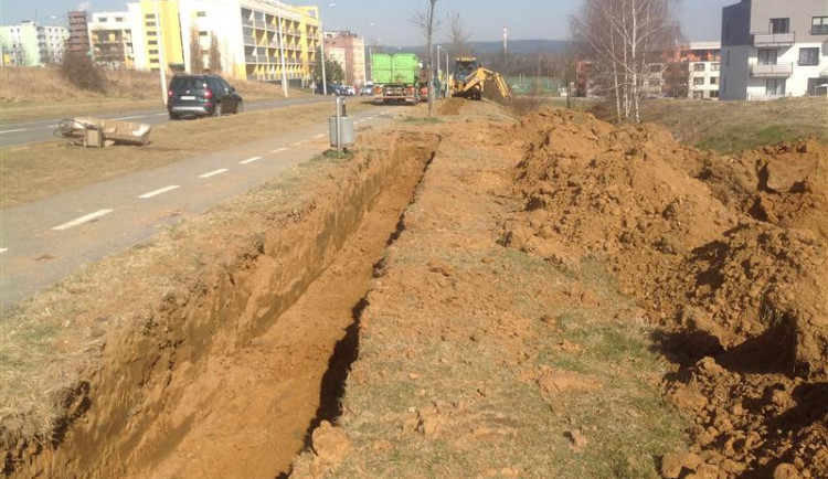 Na Vrchlického ulici nechtějí růst stromy. Nové budou zasazeny do speciálního substrátu