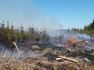 Sedm jednotek hasičů zasahuje u požáru lesa. Byl vyhlášen druhý stupeň poplachu