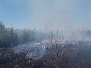 Sedm jednotek hasičů zasahuje u požáru lesa. Byl vyhlášen druhý stupeň poplachu