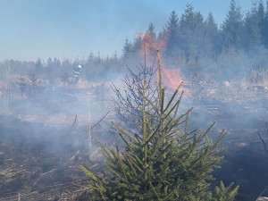 Sedm jednotek hasičů zasahuje u požáru lesa. Byl vyhlášen druhý stupeň poplachu
