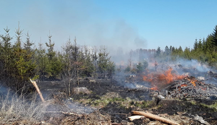 Sedm jednotek hasičů zasahuje u požáru lesa. Byl vyhlášen druhý stupeň poplachu