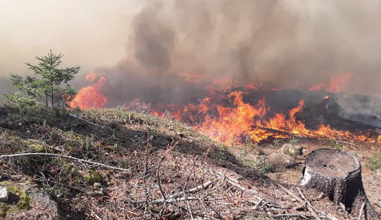 Náročné pondělí pro hasiče. Kvůli větru od rána vyjížděli k více než stovce požárů
