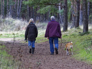 POČASÍ NA SOBOTU: Obloha se během dne může zatáhnout. Mírně se ochladí