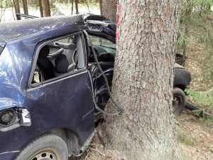 Nehoda v pravé poledne. Řidička narazila u Třeště do stromu, skončila v nemocnici