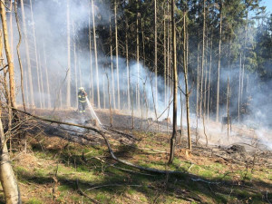 Na Vysočině platil zákaz rozdělávat oheň. Za čtyři týdny padlo celkem 14 pokut