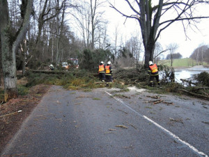 Hasiči na Vysočině jeli kvůli bouřce ke spadlým stromům. K tomu pomáhali u dvou nehod