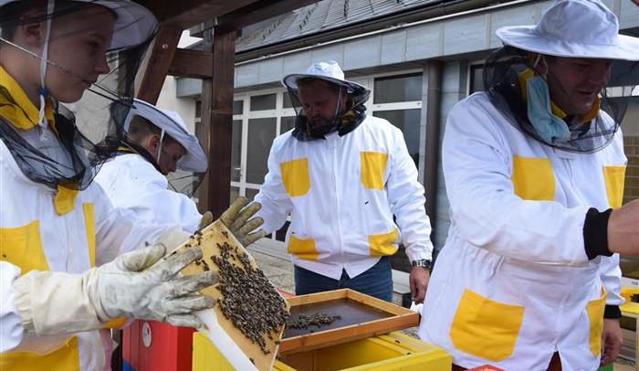 Krajský úřad v Jihlavě má vlastní včelstva. Starat se o ně bude včelařský kroužek