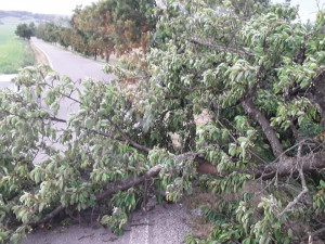 FOTO: Vysočinu zasáhla bouřka. Hasiči řešili povodeň a evakuaci 11 lidí
