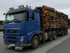 Jedenáct policejních hlídek v kraji kontrolovalo dovozce dřeva. Kvůli častým stížnostem