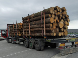 Jedenáct policejních hlídek v kraji kontrolovalo dovozce dřeva. Kvůli častým stížnostem