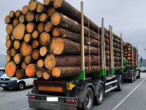 Jedenáct policejních hlídek v kraji kontrolovalo dovozce dřeva. Kvůli častým stížnostem