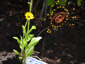 FOTO: Jihlavský park zdobí slunečnice. Upozorňují na nemoc, kterou trpí 22 tisíc lidí