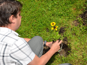 FOTO: Jihlavský park zdobí slunečnice. Upozorňují na nemoc, kterou trpí 22 tisíc lidí
