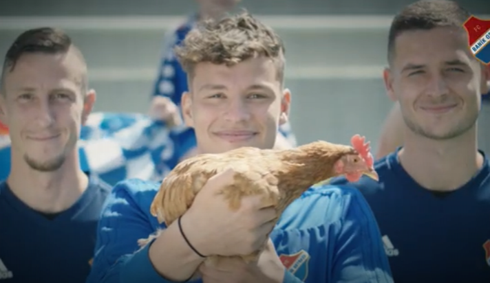 Poslanci budou rozhodovat o zákazu klecového chovu slepic. Podpořil ho i fotbalový klub