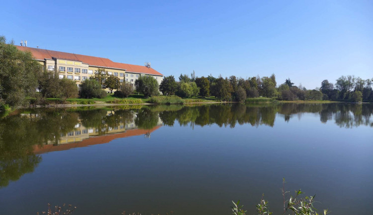 Z nedělního koupání tragická událost, v třebíčském rybníku se utopil osmnáctiletý mladík