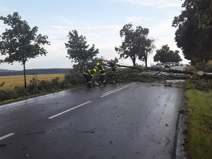 FOTO: Hasiči opět bojovali s následky po bouřce. Do padlého stromu u Rantířova najel vlak
