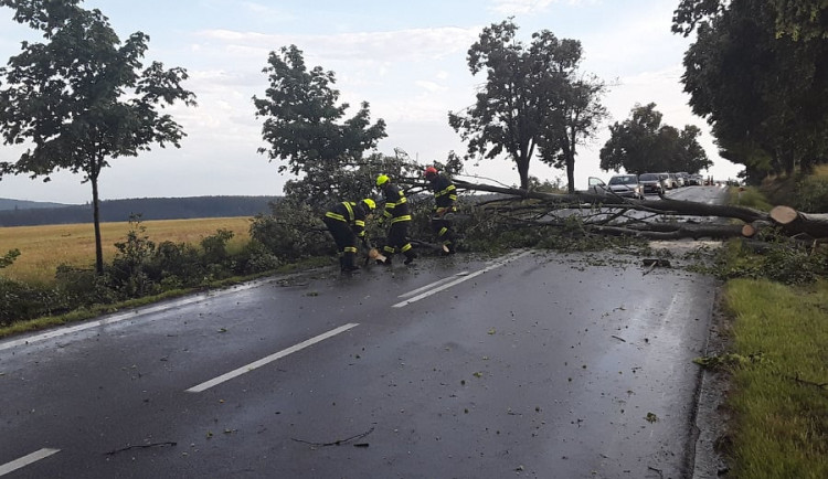Hasiči opět bojovali s následky po bouřce. Do padlého stromu u Rantířova najel vlak