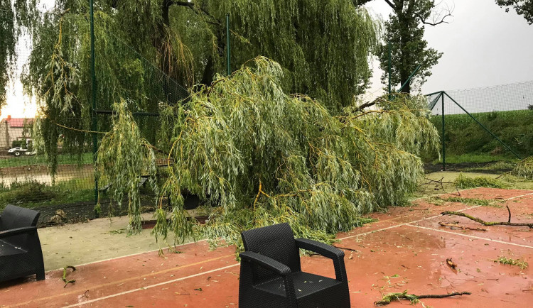 To byla pořádná šichta. Na Vysočině odklízeli hasiči po bouřkách stromy na desítkách míst