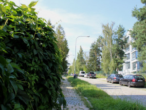Sídliště III. má všude spoustu zeleně