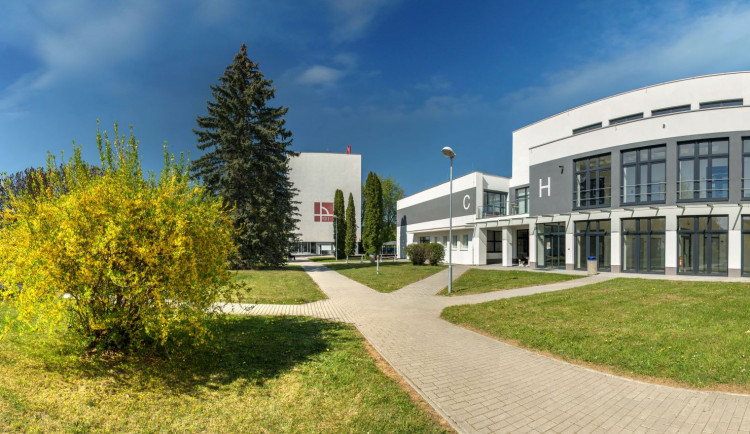 Hledáte přínosnou spolupráci pro vaši firmu? VŠTE vám otevře nové možnosti!