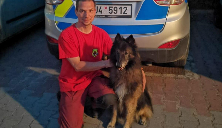 Hrdinové včerejšího dne. Dehydratovaného seniora našel psovod s ovčákem Duckem