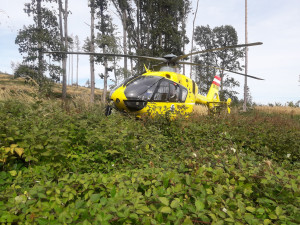 Záchranáři na Vysočině často zasahují u houbařů v lese. Lidé přeceňují svoje síly