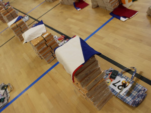 Státní vlajka, baterka, ale i dezinfekce a roušky. Přípravy na krajské volby vrcholí