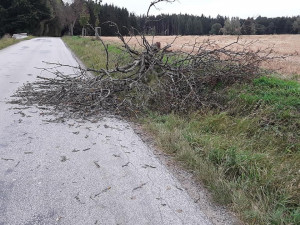 Kvůli silnému větru je na Vysočině bez elektřiny asi tisícovka míst