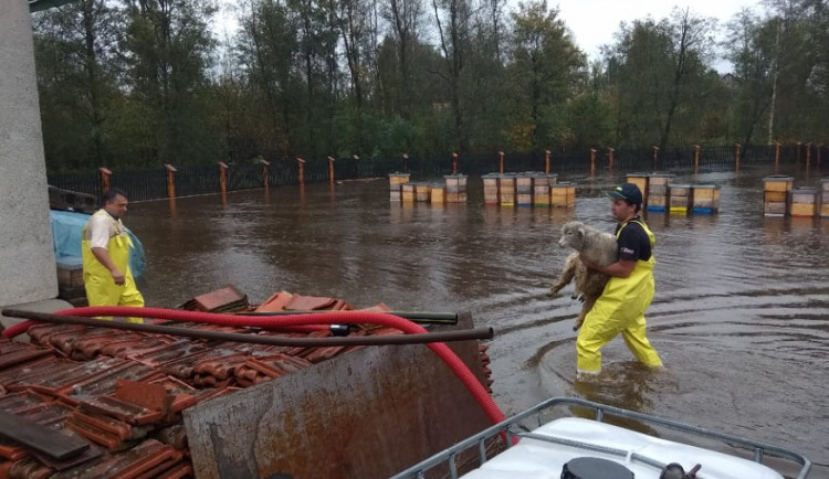 Herálec, dnes dopoledne