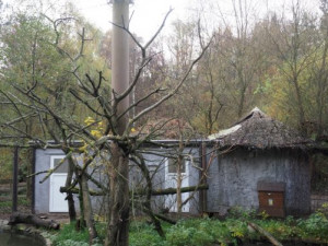 Jihlavská zoo dokončila ubikaci, v níž budou v zimě i ibisové. Vyšla na více než milion korun