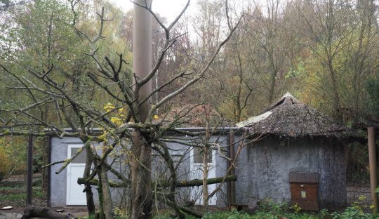 Jihlavská zoo dokončila ubikaci, v níž budou v zimě i ibisové
