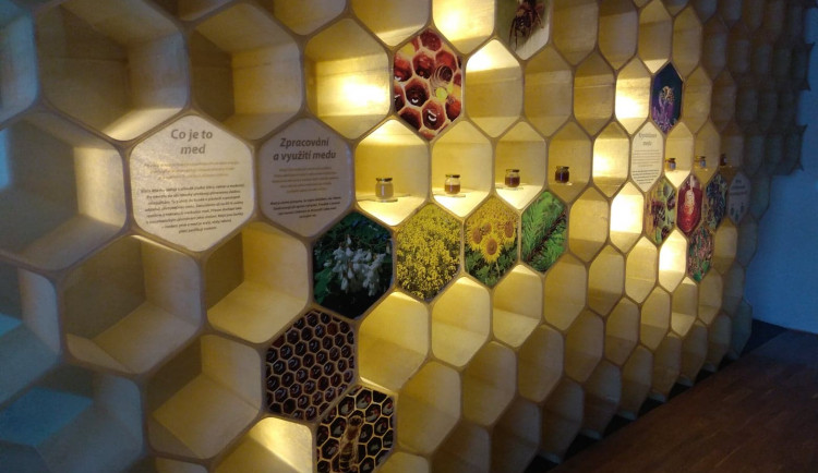 125885742_210000083832609_2627052090135491627_n