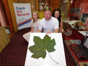 Gigantický javorový list z Kostelce se dostal do České knihy rekordů. Měří skoro půl metru