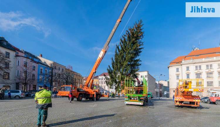 FOTO, VIDEO: Svůj vánoční stromek má už i Jihlava. Letos bude nazdobena i radnice