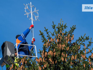 Svůj vánoční stromek má už i Jihlava. Letos bude nazdobena i radnice