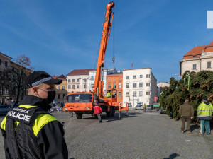 Svůj vánoční stromek má už i Jihlava. Letos bude nazdobena i radnice