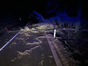 Skoro sto výjezdů kvůli počasí za 24 hodin. Řidič na Jihlavsku narazil do spadlého stromu