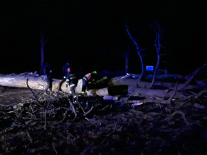 Skoro sto výjezdů kvůli počasí za 24 hodin. Řidič na Jihlavsku narazil do spadlého stromu