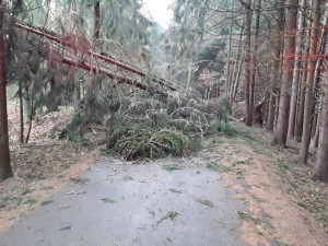 Popadané stromy, více než tisíc domácností bez proudu. Hasiči na Vysočině měli i v sobotu napilno