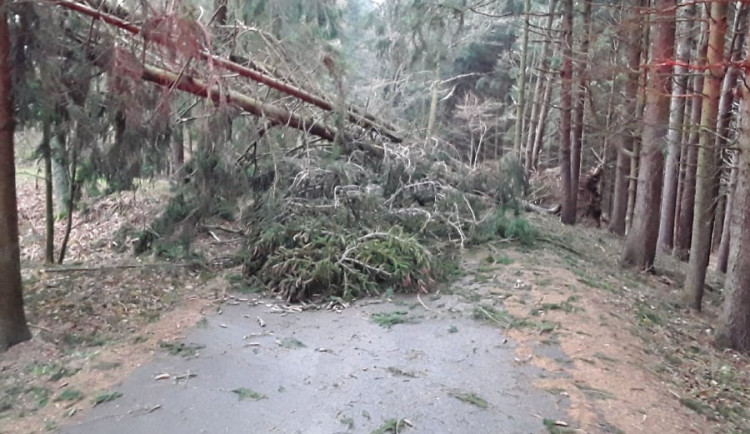 Popadané stromy, více než tisíc domácností bez proudu. Hasiči na Vysočině měli i v sobotu napilno