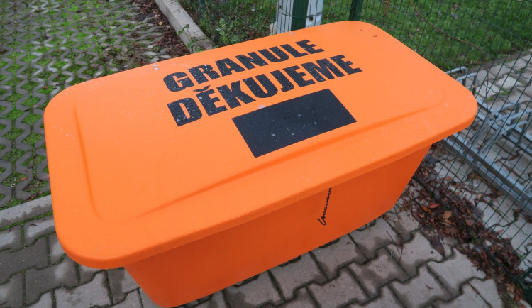 Předvánoční dny otevřených dveří v útulku nebudou, na vině je covid