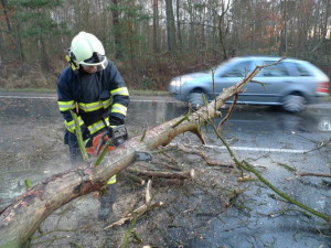 Silný vítr neustává. Nejvíc zásahů mají hasiči na Vysočině kvůli popadaným stromům