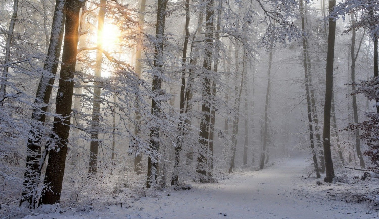 Bílé Vánoce? Teploty přes den budou nad nulou, sněžení dorazit nemá