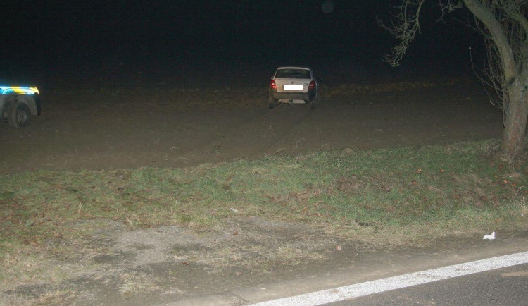 Muže, který kradl, honili strážníci v autě i na poli. Policejnímu psovi však už neunikl