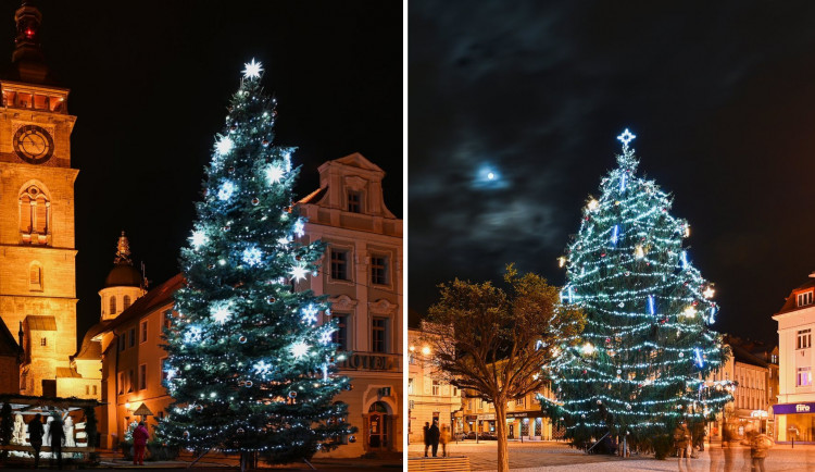 ANKETA: Je hezčí strom na Velkém nebo Masarykově náměstí?