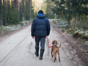 POČASÍ NA STŘEDU: I dnes se musíme obejít bez sluníčka. Teploměr ukáže až 12 stupňů