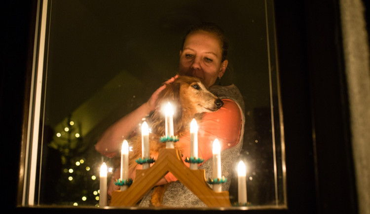 Zvířata se kvůli petardám často vyděsí nebo se mohou ztratit, říká veterinářka Alexandra Karafiátová